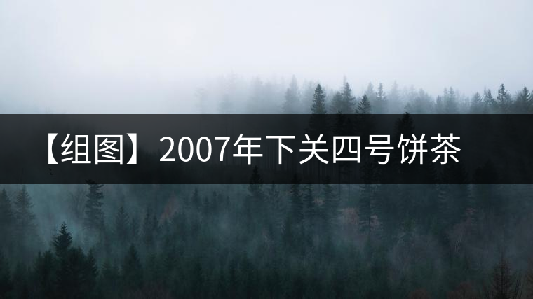 【組圖】2007年下關四號餅茶開湯 【組圖】2007年下關四號餅茶開湯