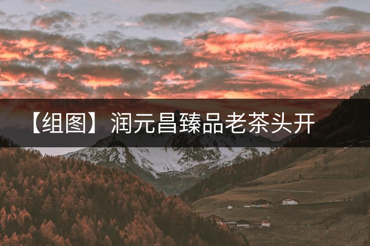 【組圖】潤元昌臻品老茶頭開湯 【組圖】潤元昌臻品老茶頭開湯