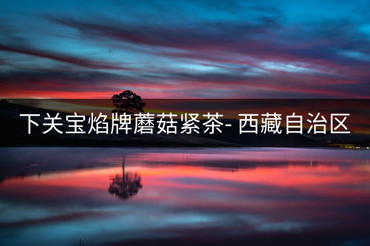 下關寶焰牌蘑菇緊茶- 西藏自治區成立40周年紀念