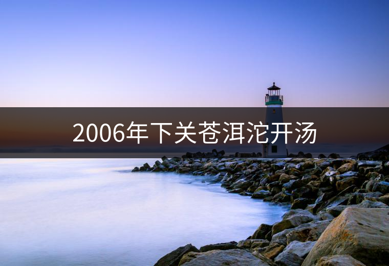 2006年下關蒼洱沱開湯 2006年下關蒼洱沱開湯