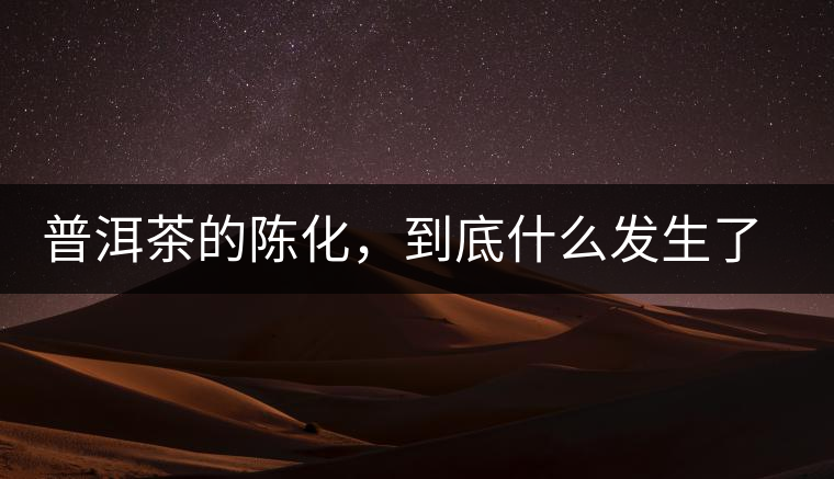 普洱茶的陳化，到底什么發生了哪些變化？