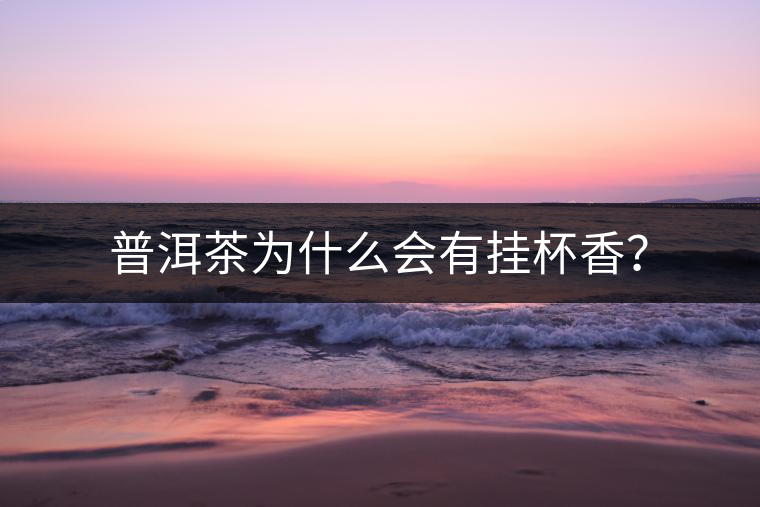 普洱茶為什么會(huì)有掛杯香? 普洱茶為什么會(huì)有掛杯香?
