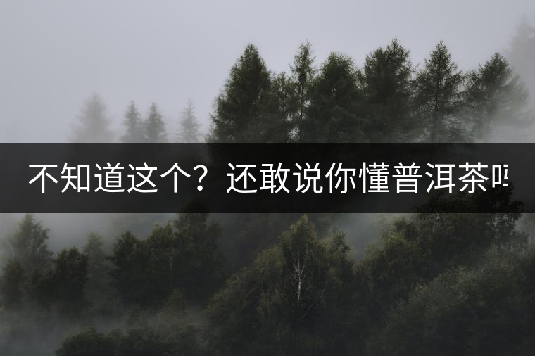 不知道這個?還敢說你懂普洱茶嗎? 不知道這個?還敢說你懂普洱茶嗎?