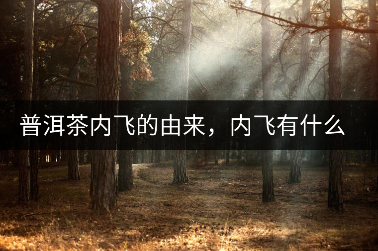 普洱茶內飛的由來，內飛有什么作用？