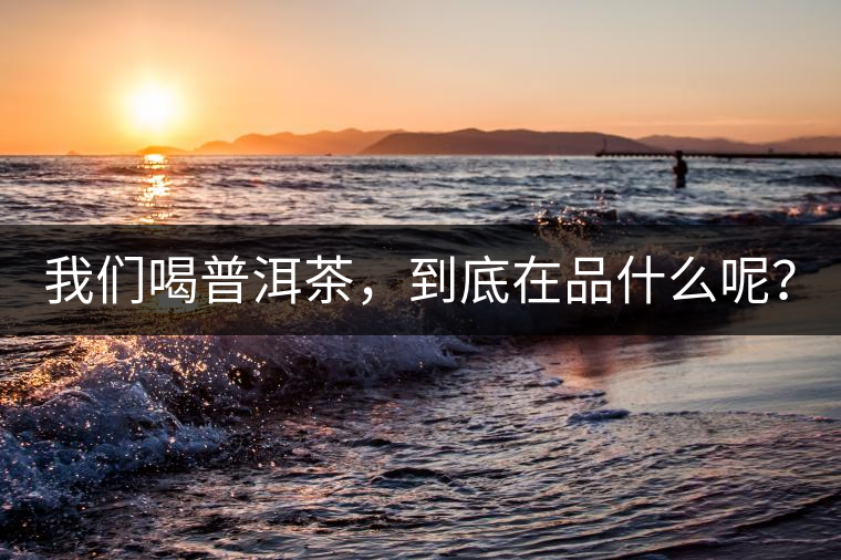 我們喝普洱茶,到底在品什么呢? 我們喝普洱茶,到底在品什么呢?