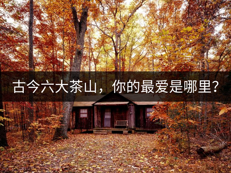 古今六大茶山,你的最愛是哪里? 古今六大茶山,你的最愛是哪里?