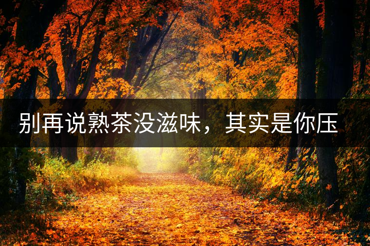別再說熟茶沒滋味,其實是你壓根沒喝懂 別再說熟茶沒滋味,其實是你壓根沒喝懂