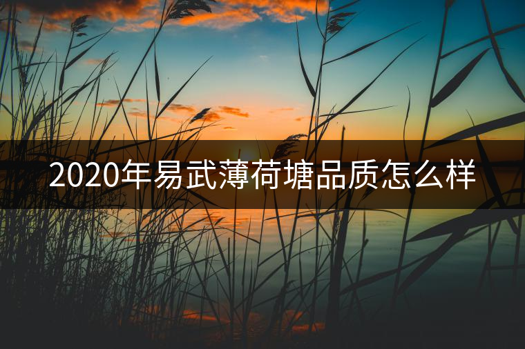 2020年易武薄荷塘品質怎么樣 2020年易武薄荷塘品質怎么樣