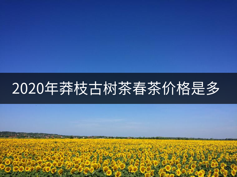 2020年莽枝古樹茶春茶價格是多少錢? 2020年莽枝古樹茶春茶價格是多少錢?