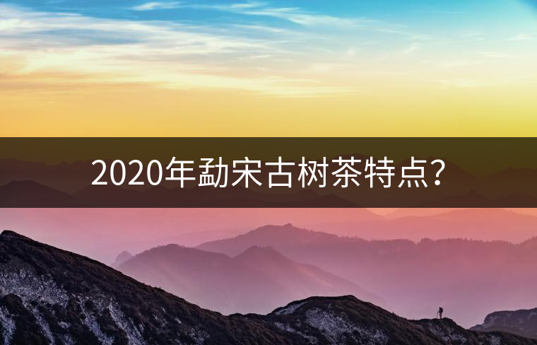 2020年勐宋古樹(shù)茶特點(diǎn)？