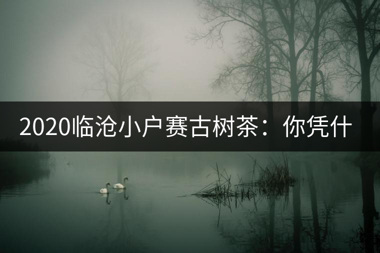 2020臨滄小戶賽古樹茶：你憑什么當冰島賣？
