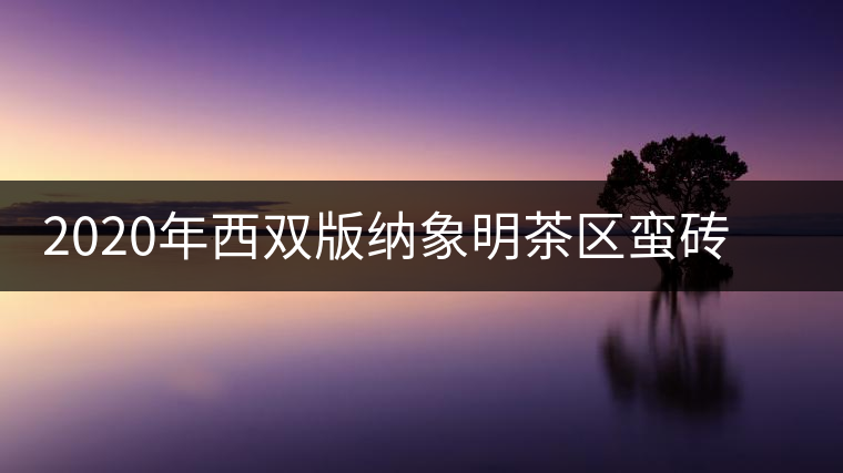 2020年西雙版納象明茶區蠻磚古茶山特點介紹 2020年西雙版納象明茶區蠻磚古茶山特點介紹