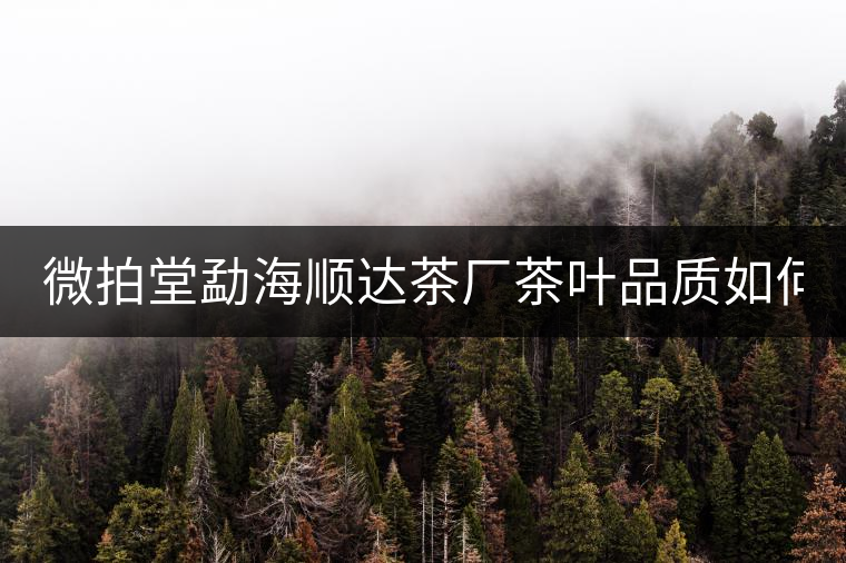 微拍堂勐海順達茶廠茶葉品質(zhì)如何? 微拍堂勐海順達茶廠茶葉品質(zhì)如何?