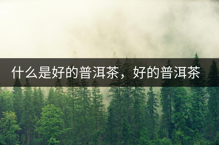 什么是好的普洱茶，好的普洱茶必須要有好的工藝！