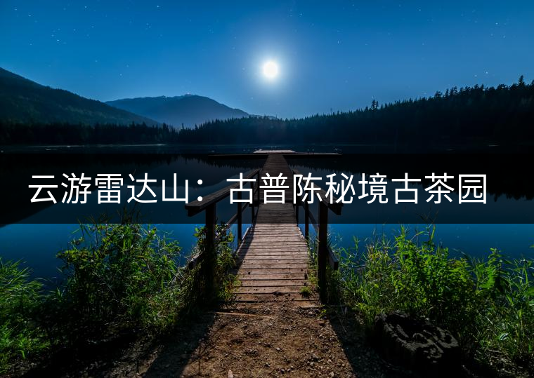 云游雷達山：古普陳秘境古茶園，品第一杯春鮮