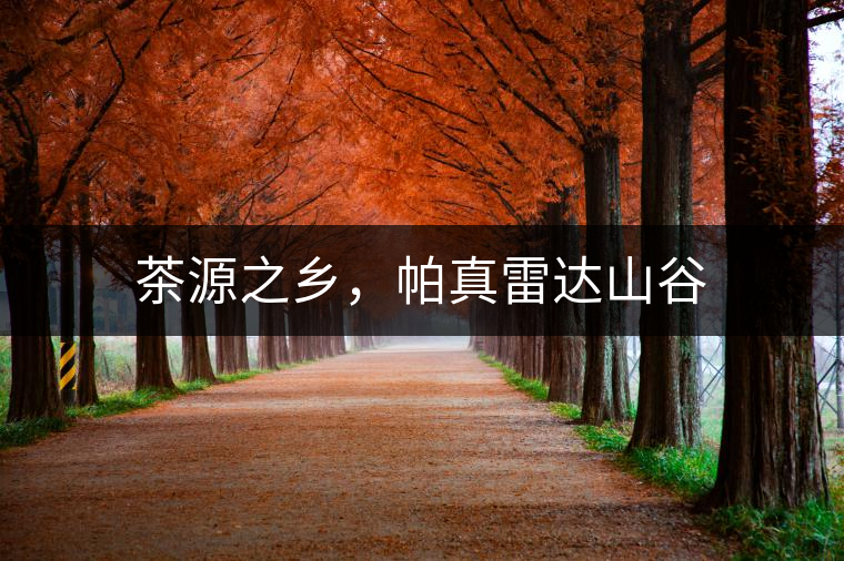 茶源之鄉(xiāng)，帕真雷達山谷