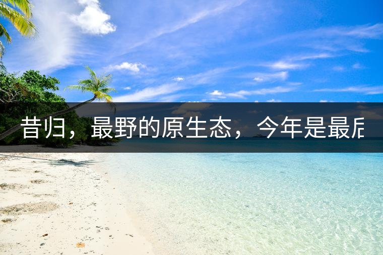 昔歸，最野的原生態，今年是最后一年了！