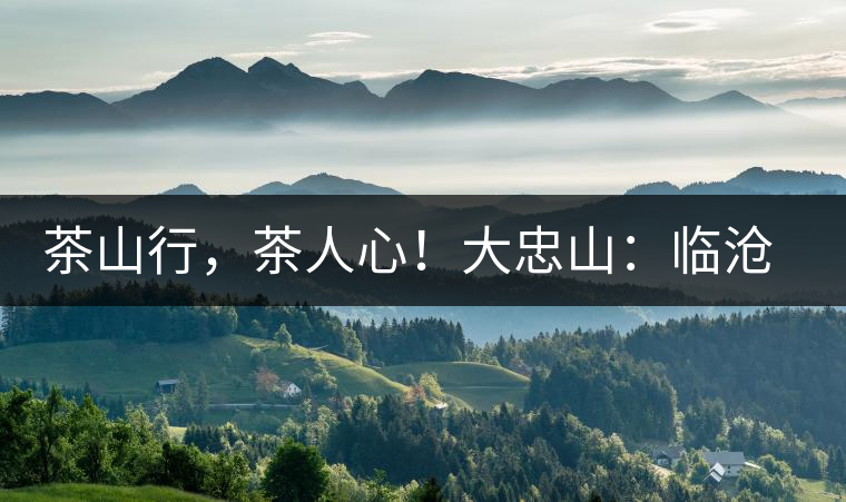 茶山行,茶人心!大忠山:臨滄之龍,雪山之熊 茶山行,茶人心!大忠山:臨滄之龍,雪山之熊