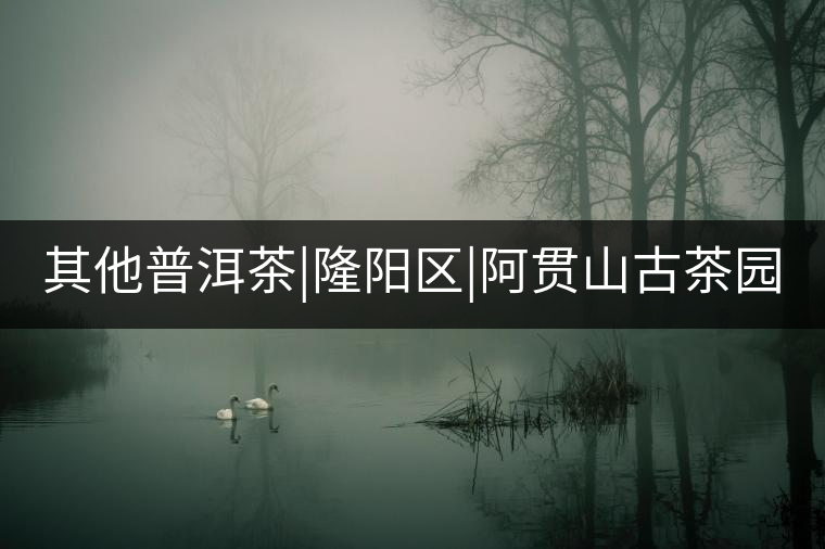 其他普洱茶|隆陽區|阿貫山古茶園