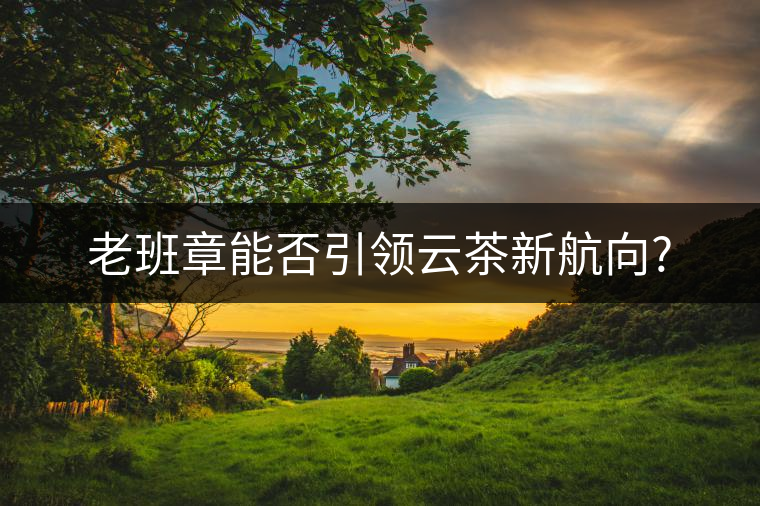 老班章能否引領云茶新航向? 老班章能否引領云茶新航向?