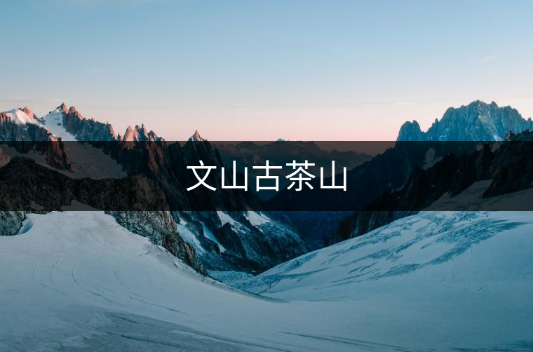 文山古茶山 文山古茶山