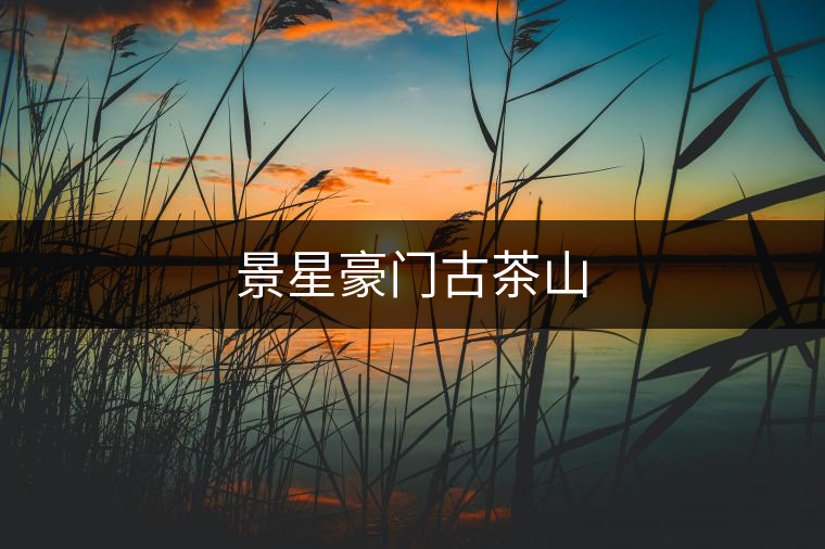 景星豪門古茶山