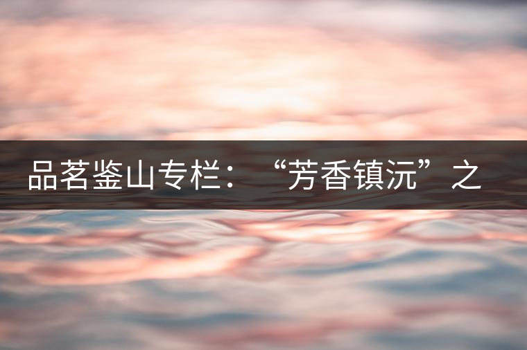 品茗鑒山專欄：“芳香鎮沅”之五一茶