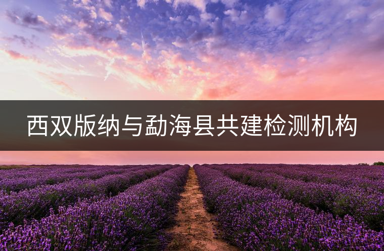 西雙版納與勐?？h共建檢測機構