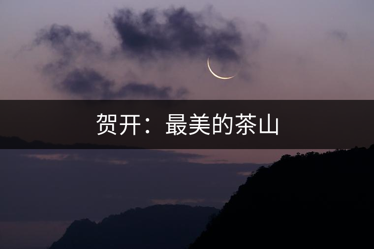 賀開:最美的茶山 賀開:最美的茶山