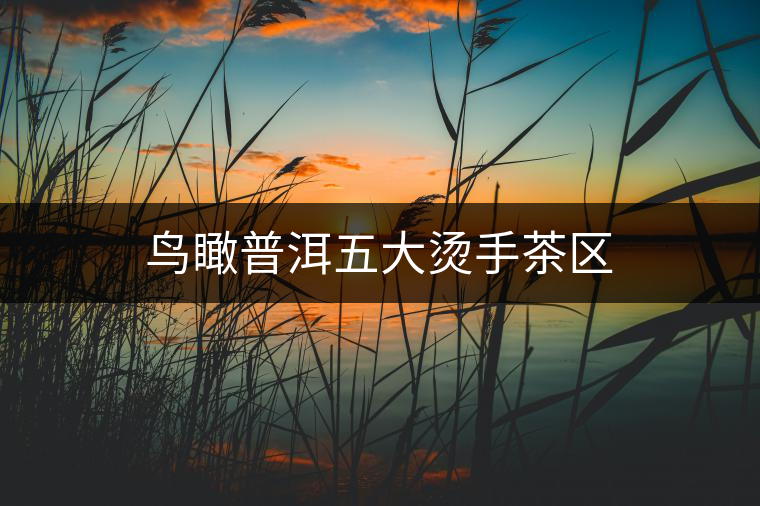 鳥(niǎo)瞰普洱五大燙手茶區(qū) 鳥(niǎo)瞰普洱五大燙手茶區(qū)
