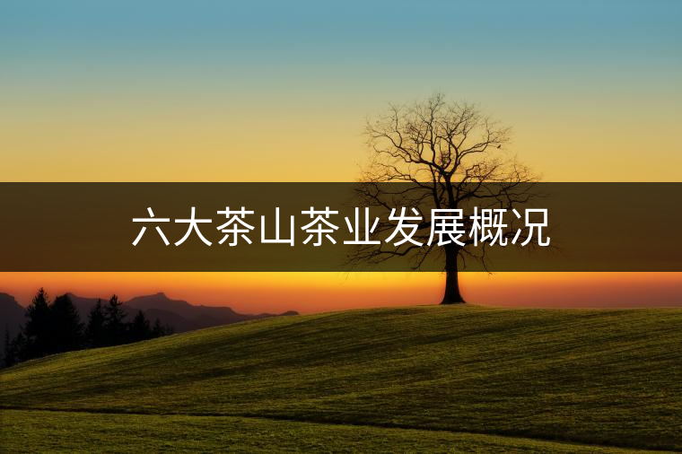六大茶山茶業發展概況