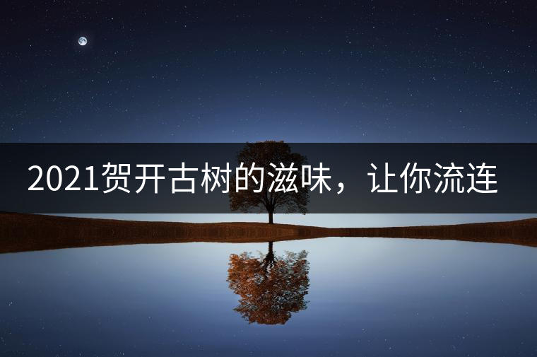 2021賀開(kāi)古樹(shù)的滋味，讓你流連忘返