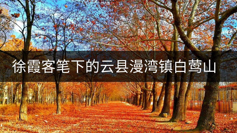 徐霞客筆下的云縣漫灣鎮白鶯山古樹茶