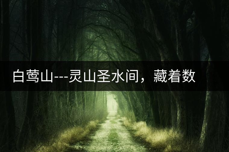 白鶯山---靈山圣水間,藏著數(shù)不盡的佛茶佳話(huà) 白鶯山---靈山圣水間,藏著數(shù)不盡的佛茶佳話(huà)
