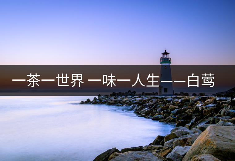 一茶一世界 一味一人生——白鶯山禪茶特點
