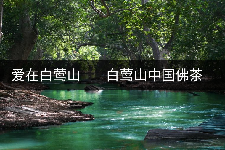 愛在白鶯山——白鶯山中國佛茶勝地 愛在白鶯山——白鶯山中國佛茶勝地