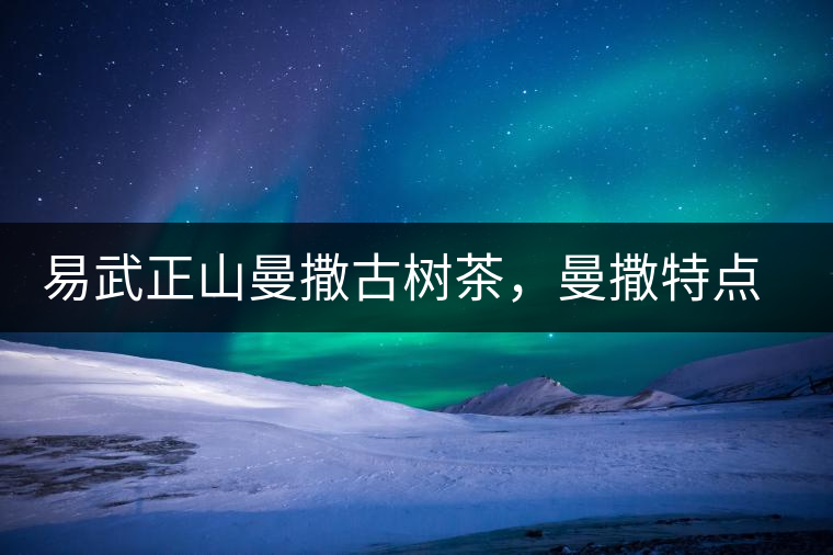 易武正山曼撒古樹茶，曼撒特點分享介紹