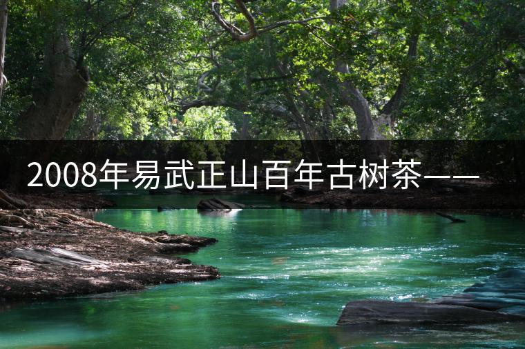 2008年易武正山百年古樹茶——鄭家梁子 2008年易武正山百年古樹茶——鄭家梁子