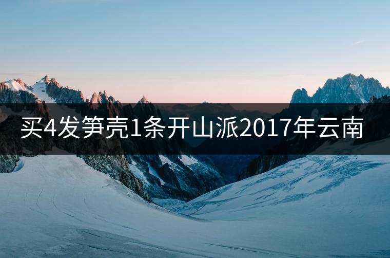 買4發筍殼1條開山派2017年云南勐海熟沱緊壓 普洱茶熟茶沱100g