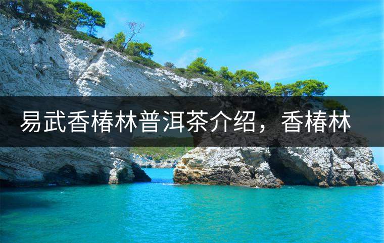 易武香椿林普洱茶介紹，香椿林古樹茶口感特點