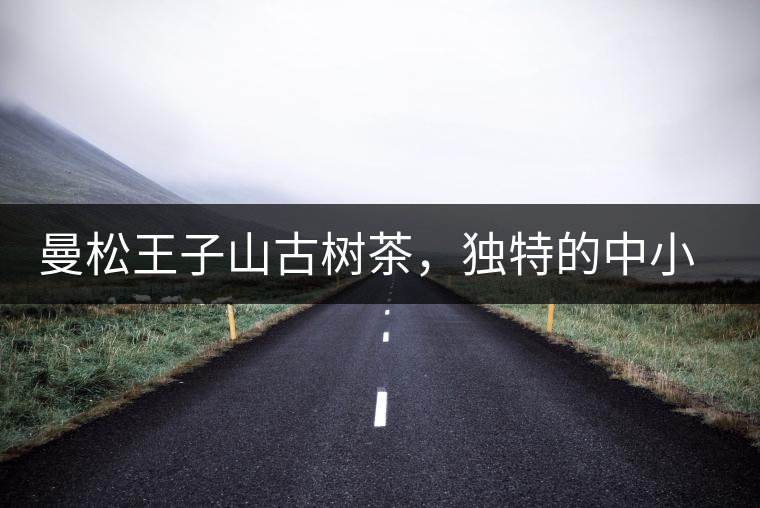 曼松王子山古樹茶,獨特的中小葉種珍品貢茶 曼松王子山古樹茶,獨特的中小葉種珍品貢茶