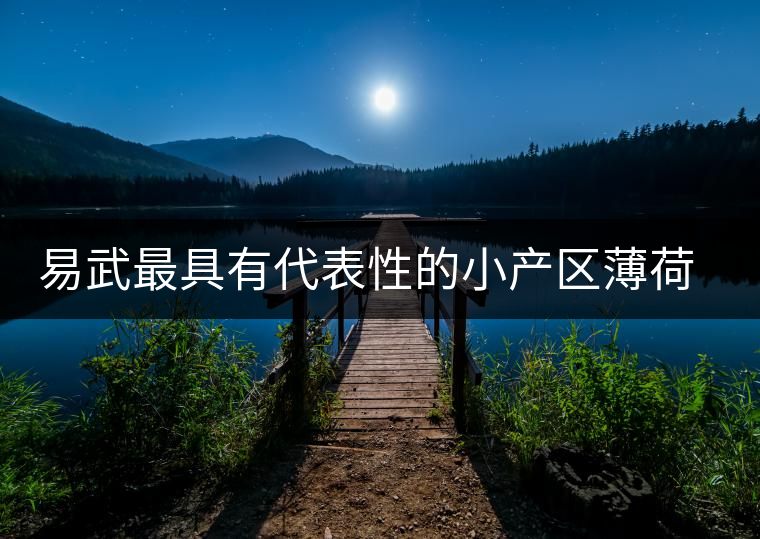 易武最具有代表性的小產區薄荷塘，一滴都不舍得浪費