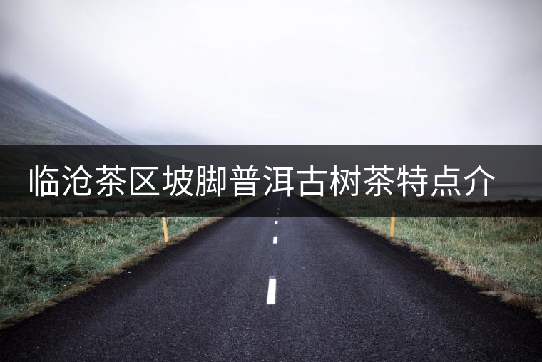 臨滄茶區坡腳普洱古樹茶特點介紹