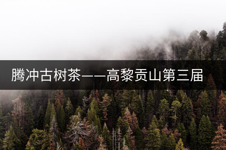 騰沖古樹茶——高黎貢山第三屆茶文化節
