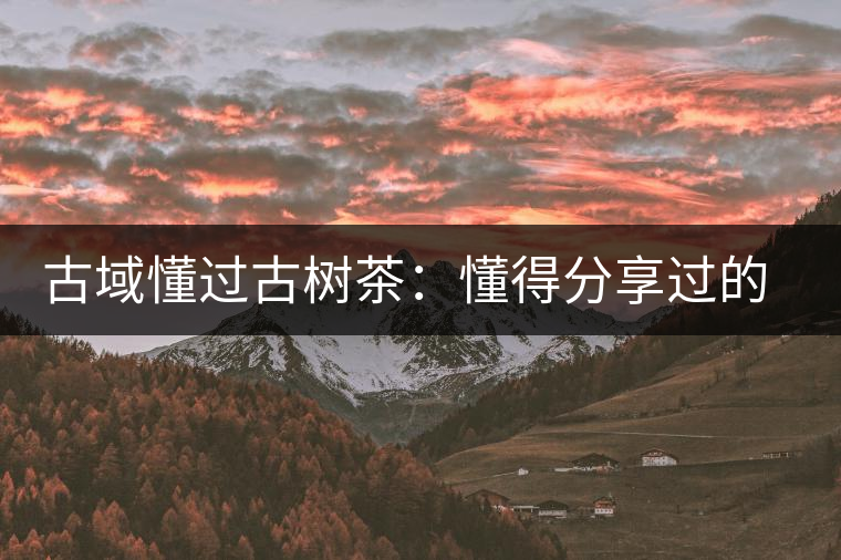 古域懂過古樹茶：懂得分享過的快樂，方為懂過