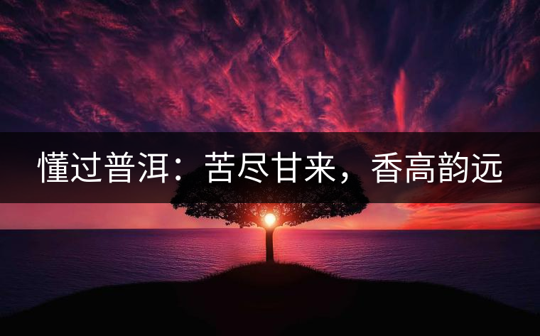 懂過普洱：苦盡甘來，香高韻遠