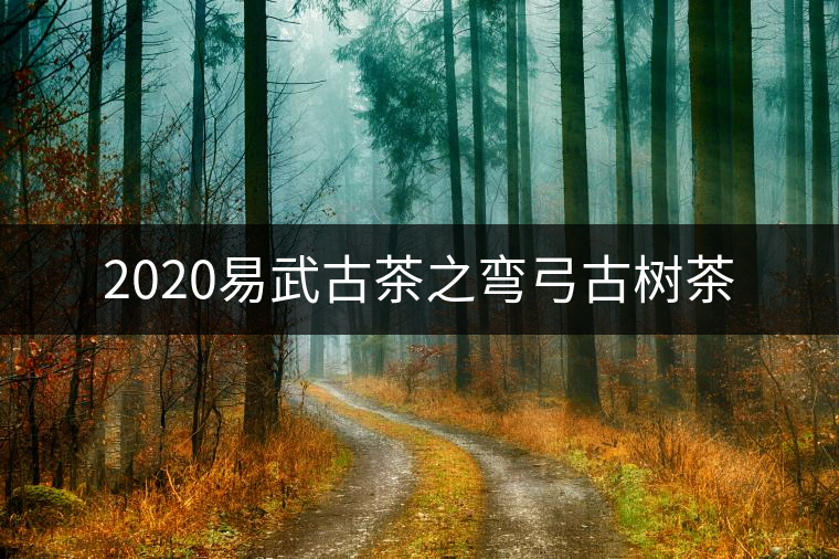 2020易武古茶之彎弓古樹茶 2020易武古茶之彎弓古樹茶