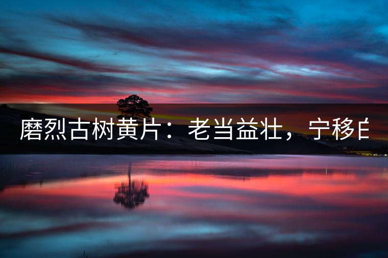 磨烈古樹黃片：老當益壯，寧移白首之心！