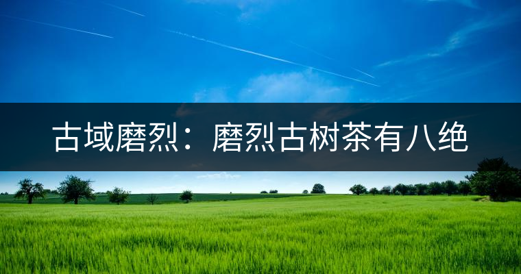 古域磨烈：磨烈古樹(shù)茶有八絕