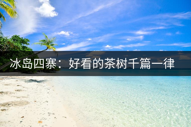 冰島四寨:好看的茶樹千篇一律,有趣的風(fēng)景萬里 冰島四寨:好看的茶樹千篇一律,有趣的風(fēng)景萬里
